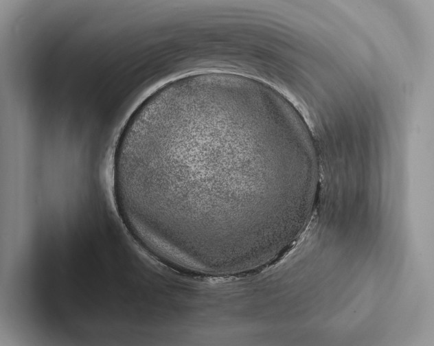 X0000103251523200809111604