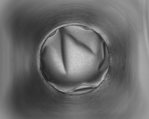 X0000103251524200809111604