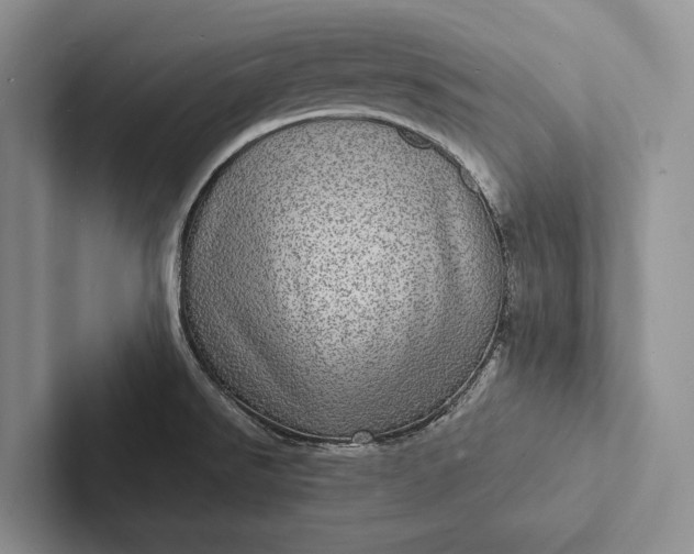 X0000103251526200809111604