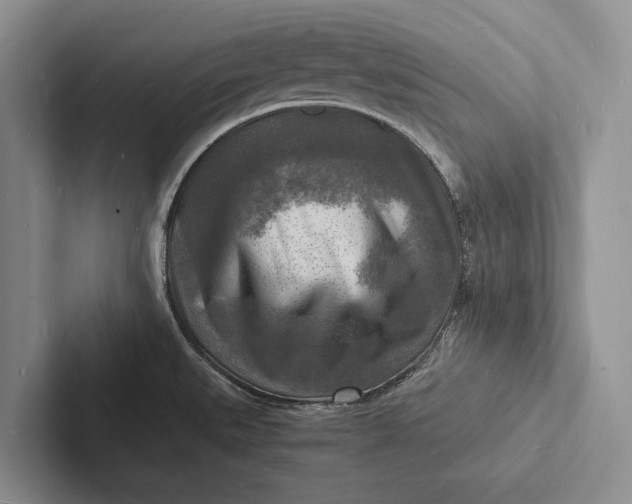 X0000103251527200809111604