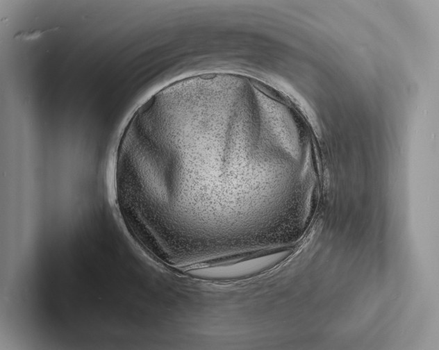 X0000103251528200809111604