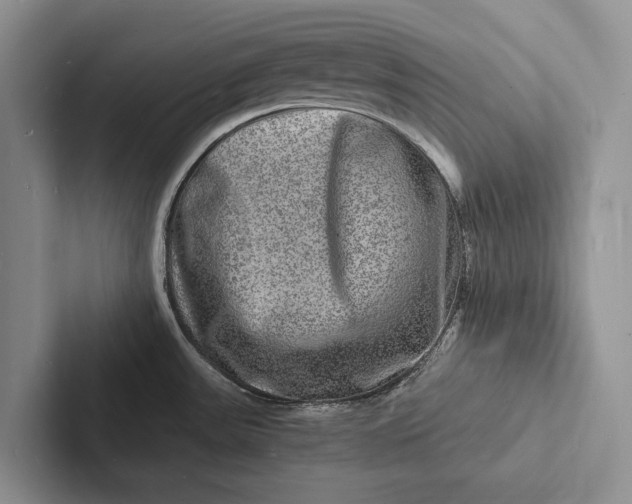 X0000103251531200809111605