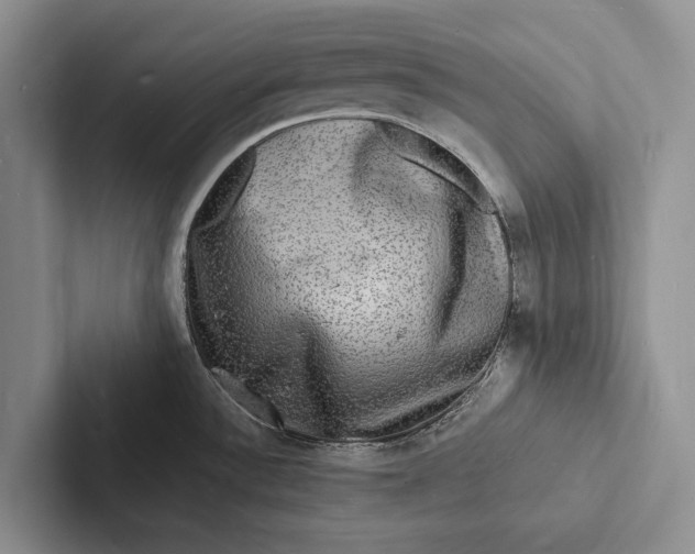 X0000103251532200809111605