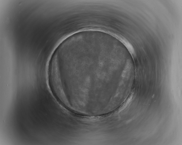 X0000103251533200809111605