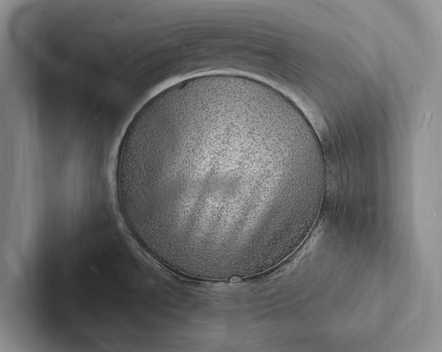 X0000103251534200809111605