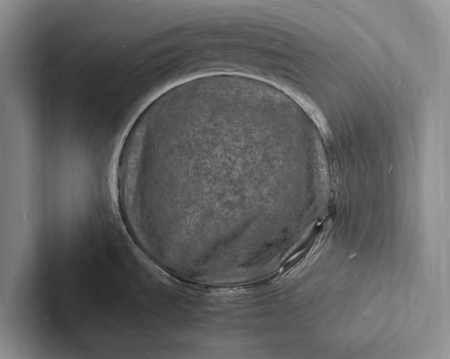 X0000103251535200809111605