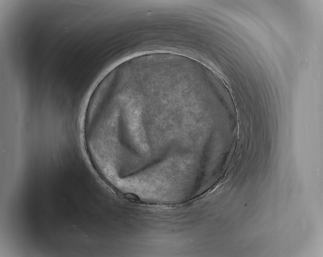 X0000103251536200809111605