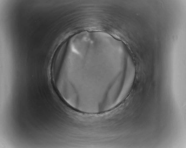 X0000103250002200809181614