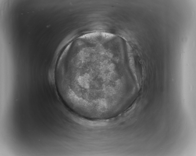 X0000103250004200809181614