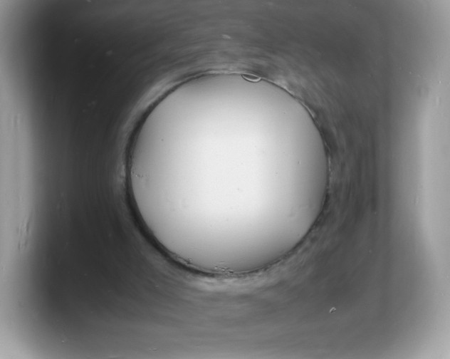 X0000103250005200809181614