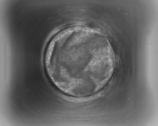 X0000103250006200809181614