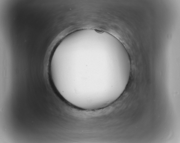 X0000103250007200809181614