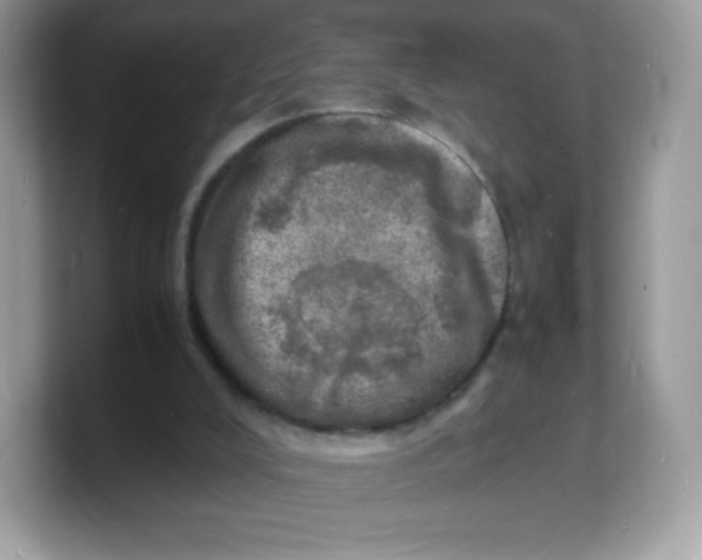 X0000103250008200809181614