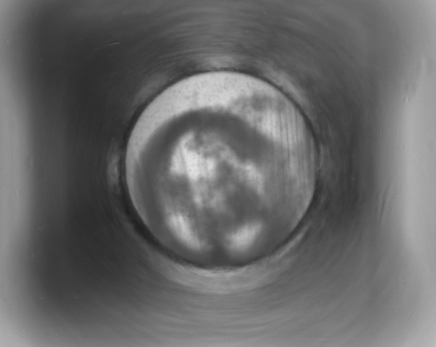 X0000103250010200809181614
