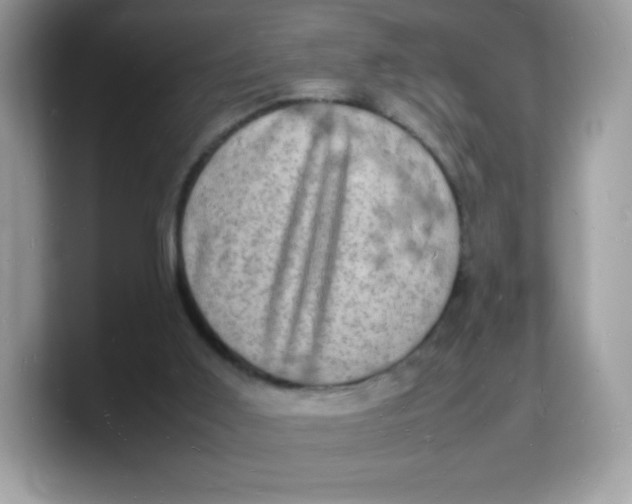 X0000103250011200809181614