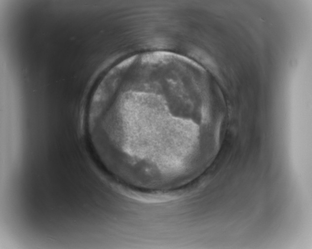X0000103250012200809181614
