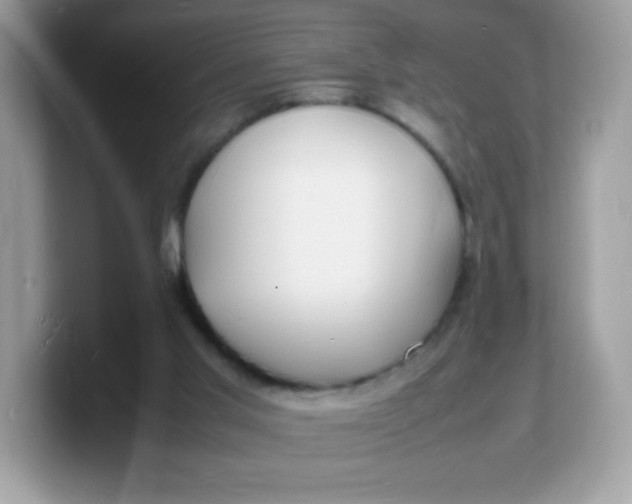 X0000103250013200809181614