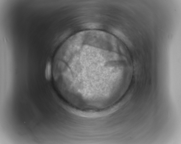 X0000103250014200809181614
