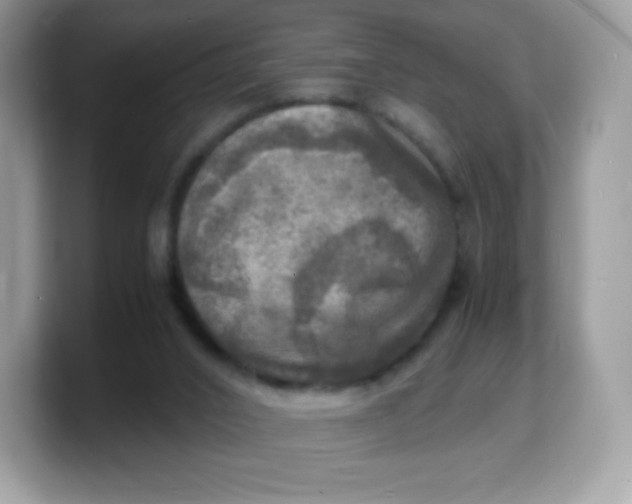 X0000103250016200809181614