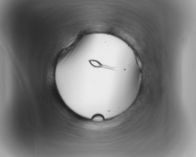 X0000103250017200809181614