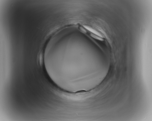 X0000103250019200809181614