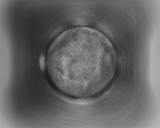 X0000103250020200809181614