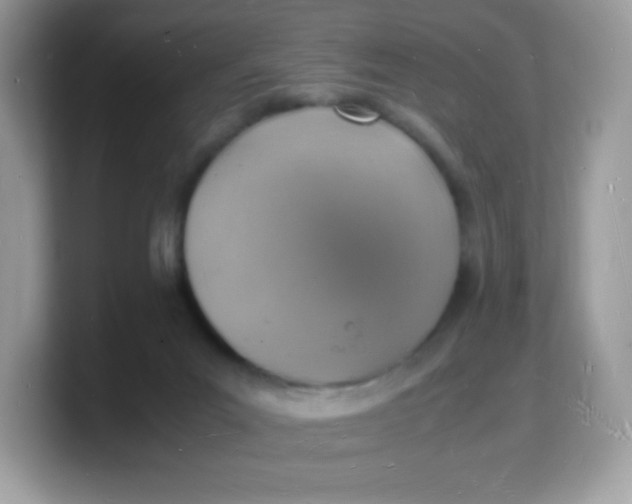 X0000103250023200809181614