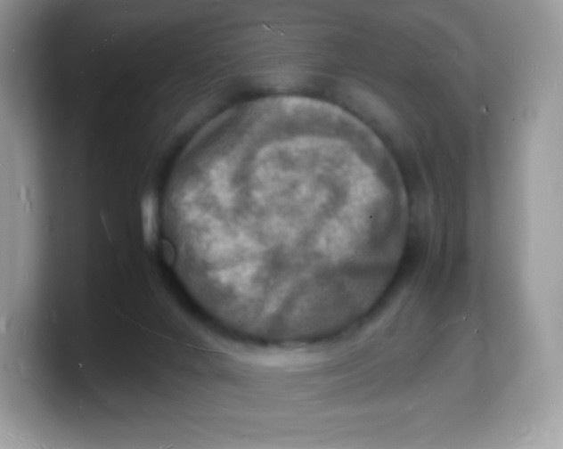 X0000103250024200809181614