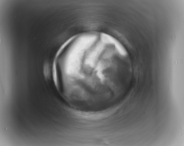 X0000103250026200809181614