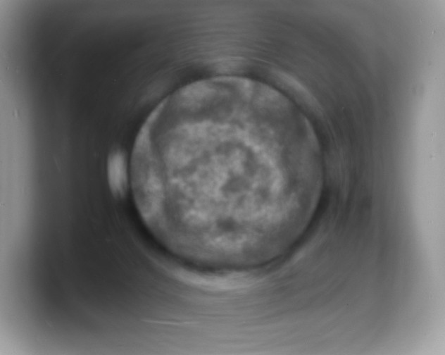 X0000103250028200809181614