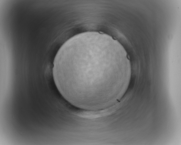 X0000103250029200809181614