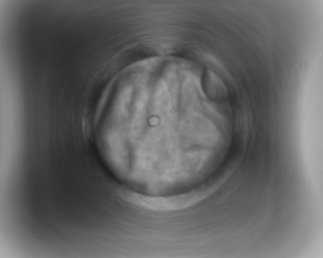 X0000103250030200809181614