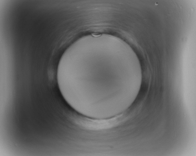 X0000103250031200809181614