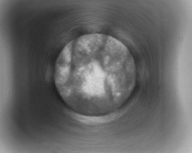 X0000103250034200809181614