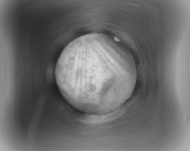 X0000103250037200809181614
