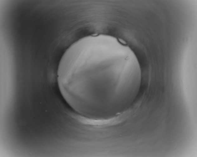 X0000103250039200809181614