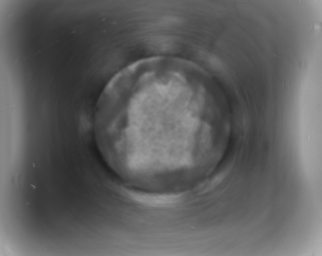 X0000103250040200809181614