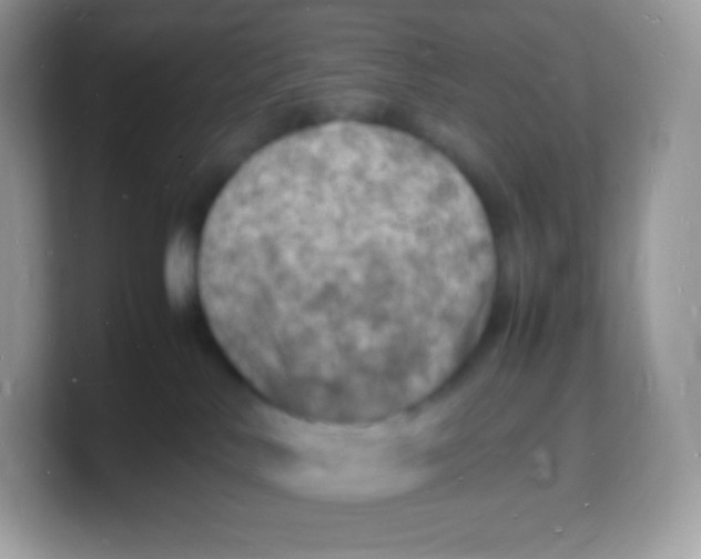 X0000103250042200809181614
