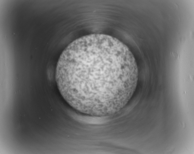 X0000103250044200809181613