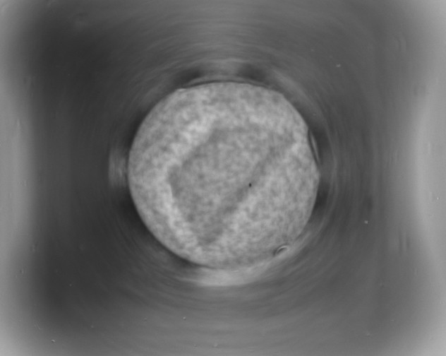 X0000103250045200809181613