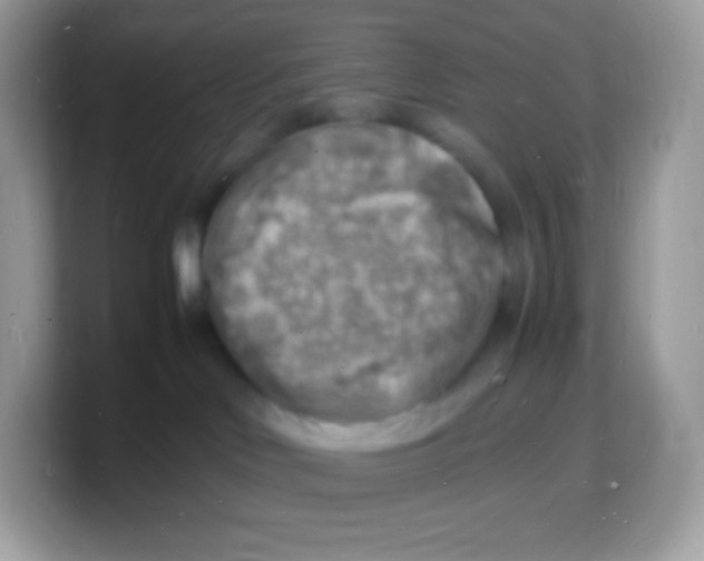X0000103250046200809181613