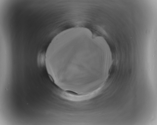 X0000103250047200809181613