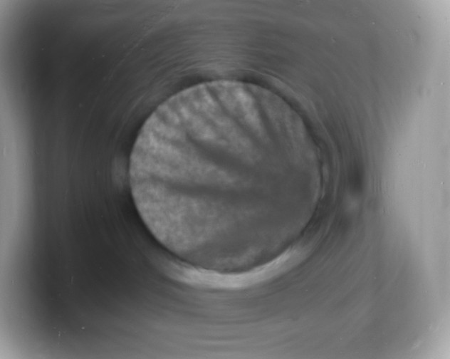 X0000103250048200809181613