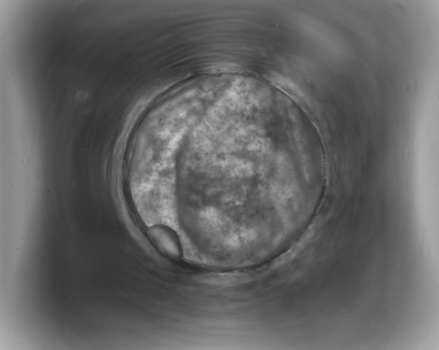 X0000103250049200809181613