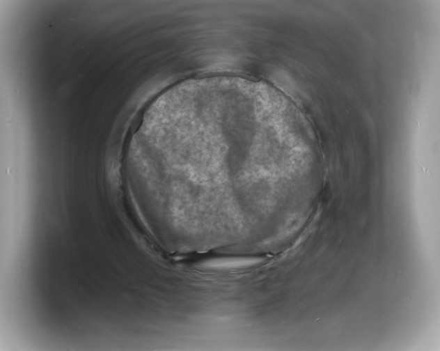 X0000103250050200809181613