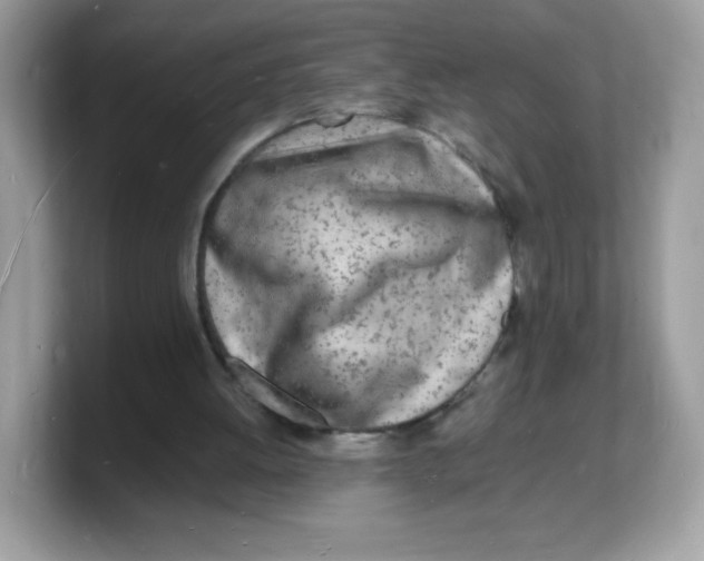 X0000103250052200809181613