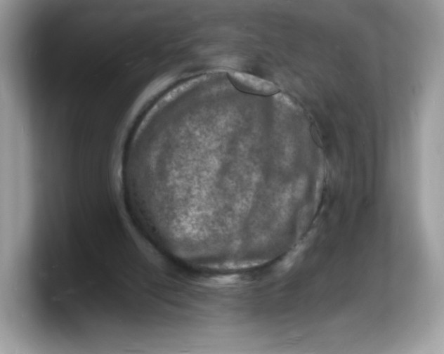 X0000103250054200809181613