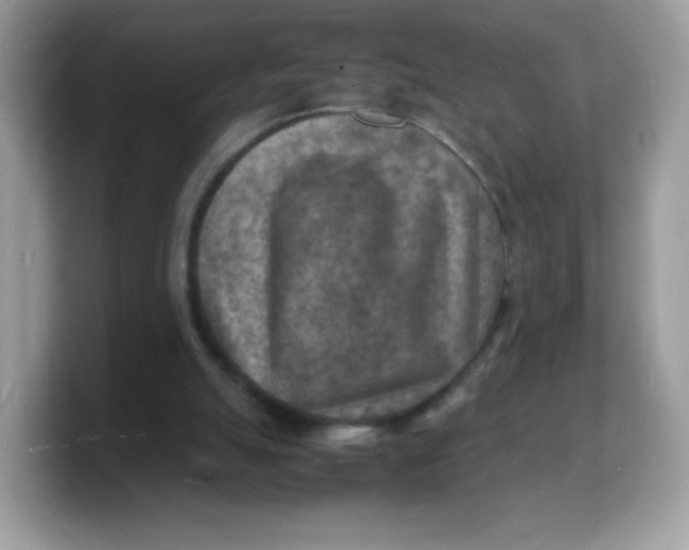 X0000103250055200809181613