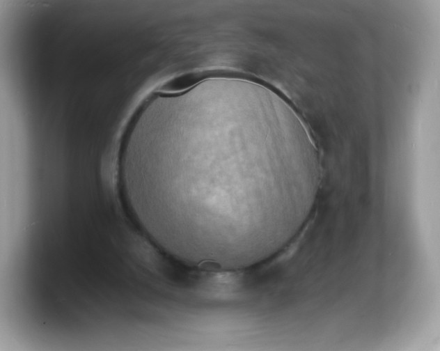 X0000103250056200809181613