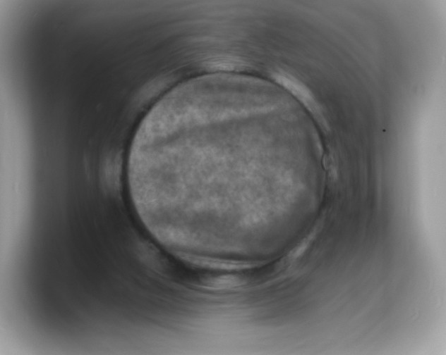 X0000103250058200809181613